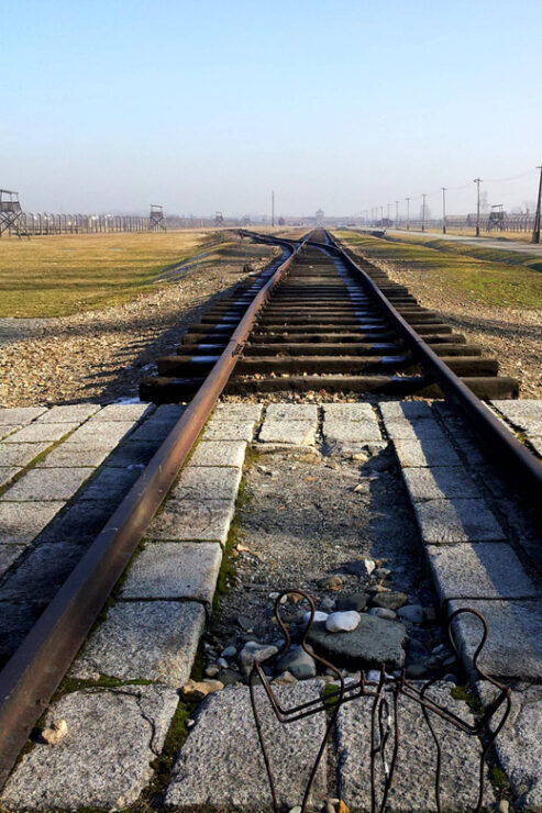 Oswiecim: Auschwitz-Birkenau Skip-the-Line Entry Tickets - Experience Highlights