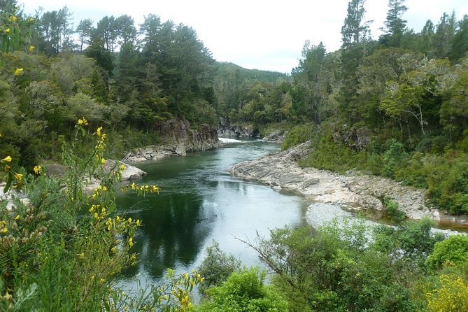 Otago Gold Hunting Adventure  - South Island - Adventure Overview