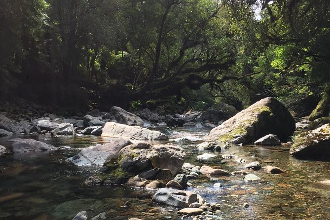 Otago Gold Hunting Adventure  - South Island - Panning for Gold
