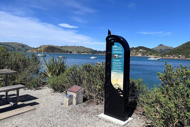 Otago Harbour by Bike: A Self Guided Tour - Exploring Otago Harbour by Bike: A Practical Deep Dive