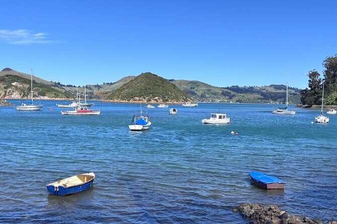 Otago Harbour by Bike: A Self Guided Tour - FAQ
