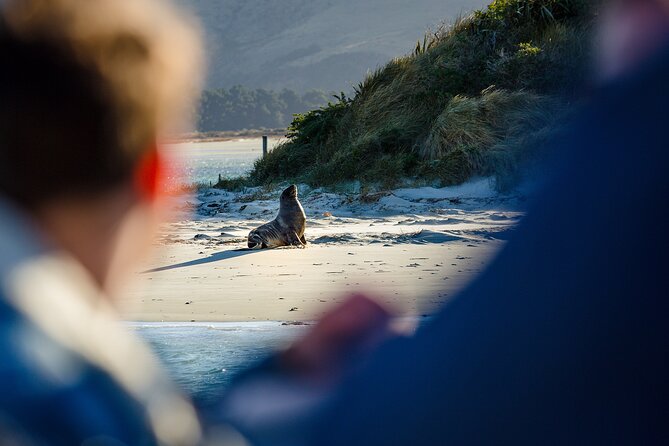 Otago Harbour Wildlife Cruise (Dunedin Shore Excursion) - Booking and Reservations Information