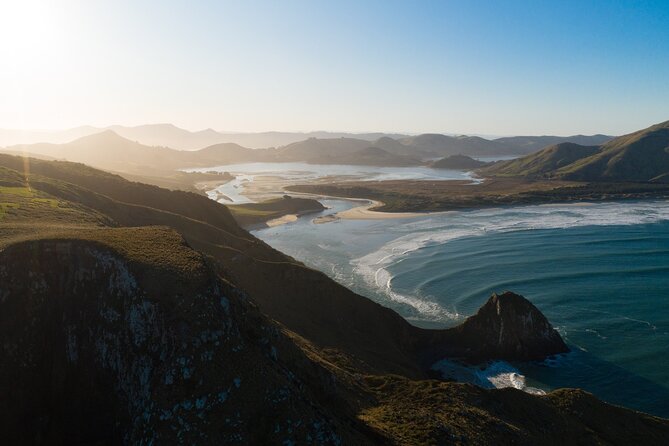 Otago Peninsula In-Depth Tour & Blue Penguins Pukekura Experience - Inclusions