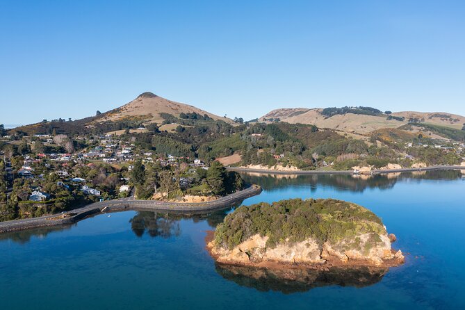 Otago Peninsula In-Depth Tour & Blue Penguins Pukekura Experience - Traveler Photos and Reviews
