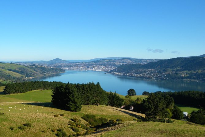 Otago Peninsula Scenery and Dunedin City Highlights Tour - Overview of the Tour Itinerary