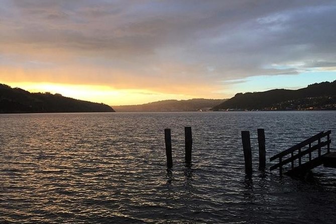 Otago Peninsulas Coastline: A Self-Guided Driving Tour - Must-See Attractions