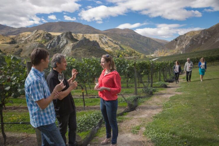 Otago Winery Tour With Gourmet Wine & Food-Paired Lunch - Experience Highlights