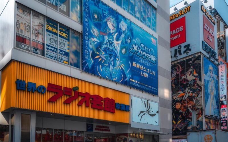 Otaku Tokyo Tour: Akihabara and Nakano Broadway - Good To Know