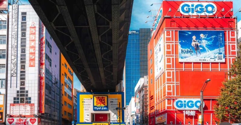 Otaku Tokyo Tour: Akihabara and Nakano Broadway - The Sum Up