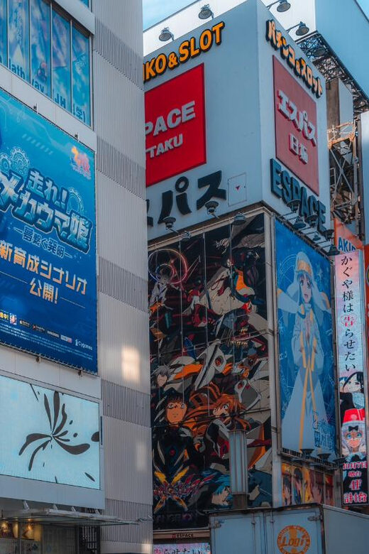 Otaku Tokyo Tour: Akihabara and Nakano Broadway - FAQs