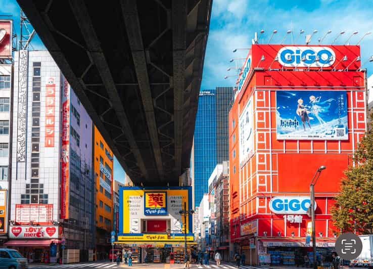 Otaku Tokyo Tour: Akihabara and Nakano Broadway - Good To Know