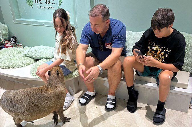 Otaku Tour in Akihabara - FAQ