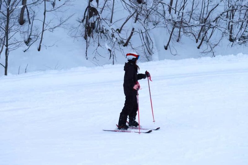 Otaru Asarigawa Ski Resort Trip with Wear Sapporo Departure - Who Is This Tour Best For?