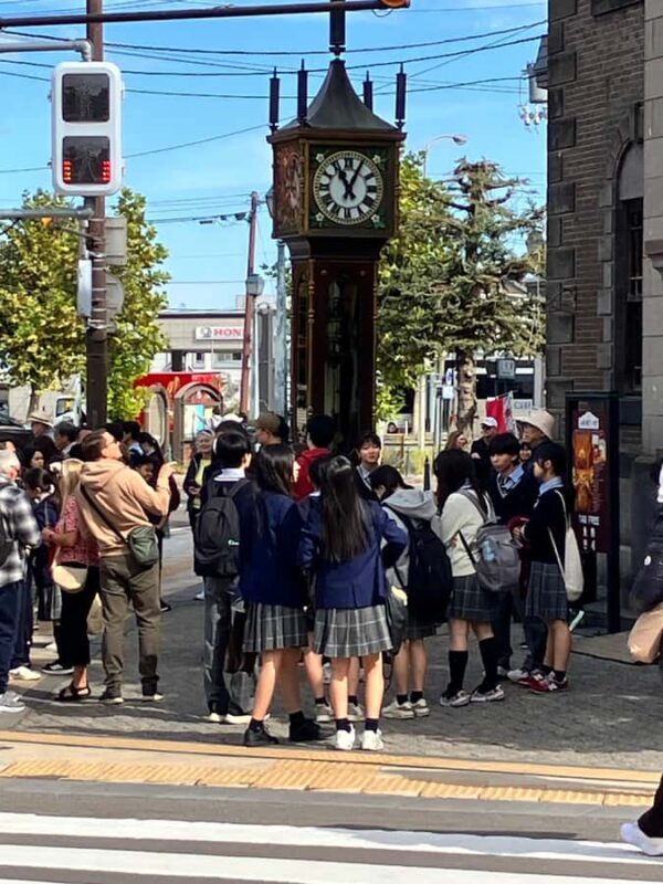 Otaru: Guided City Tour (Fish Market, Canal Walk and more) - Who Should Consider This Tour?