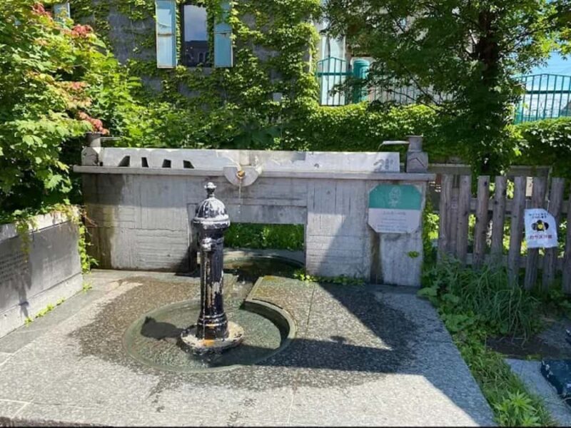 Otaru: Guided Day Tour with Canal and Glass Workshop - Good To Know