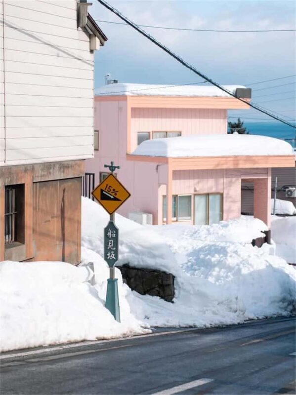 Otaru: Guided Walking Tour with Canal Custom Private Day - Who Will Love This Tour?