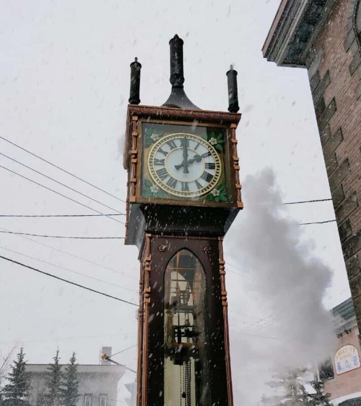Otaru: Guided Walking Tour with Canal Custom Private Day - Final Thoughts