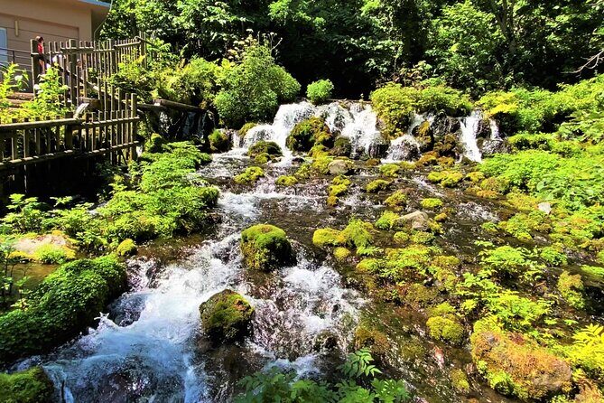 Otaru, Hokkaido Fuji Cherry Blossom Bus Tour  Sapporo 1Day - Final Thoughts