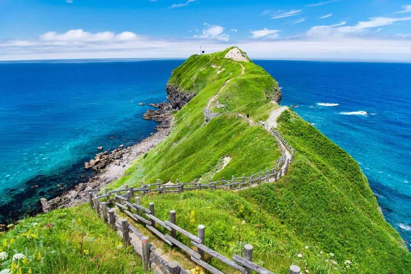 Otaru, Nikka Whisky & Shakotan Blue Full-Day Tour - Is $44.25 good value?