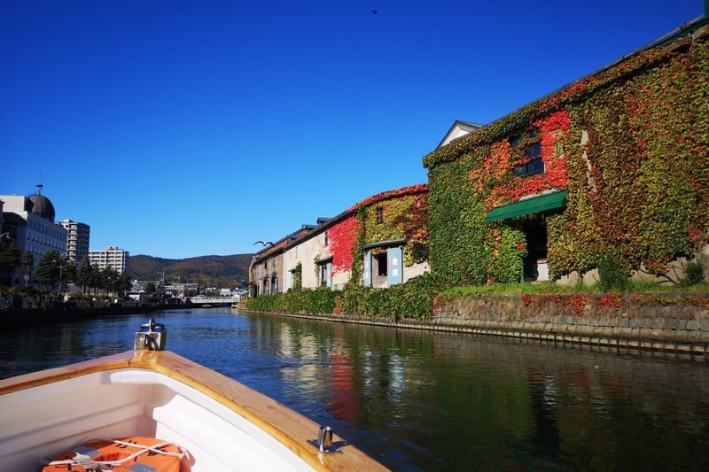 Otaru Tenguyama & Cape Kamui Full-Day Small Group Tour - Who should book, and who should pause