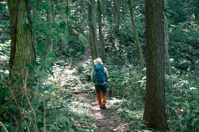 Otarus Old Fishing Village Nature and History Short Trekking Tour - Final Thoughts