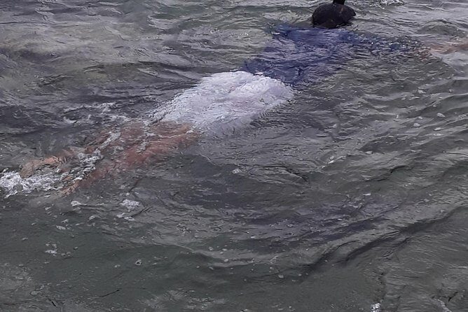 Other side of heaven Eco friendly snorkeling adventure - Good To Know