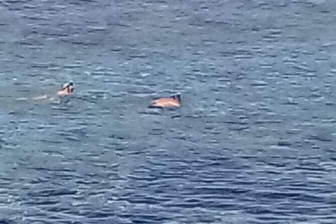 Other side of heaven Eco friendly snorkeling adventure - Who Should Consider This Tour?