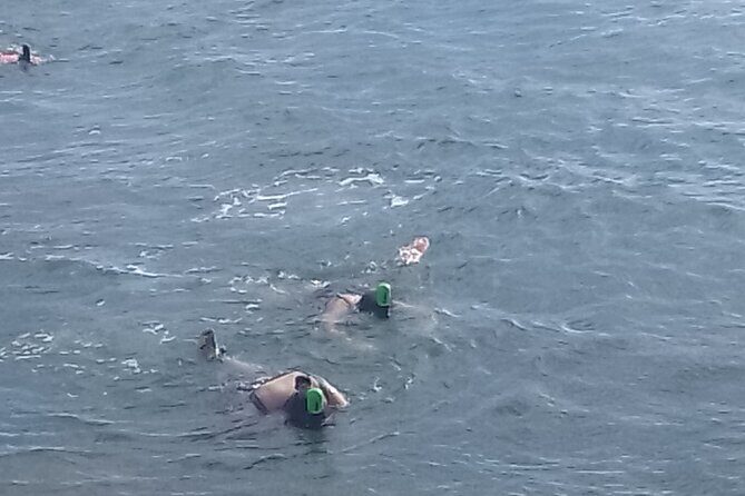 Other side of heaven Eco friendly snorkeling adventure - The Sum Up