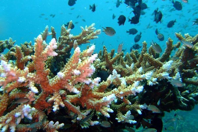 Other side of heaven Eco friendly snorkeling adventure - FAQ