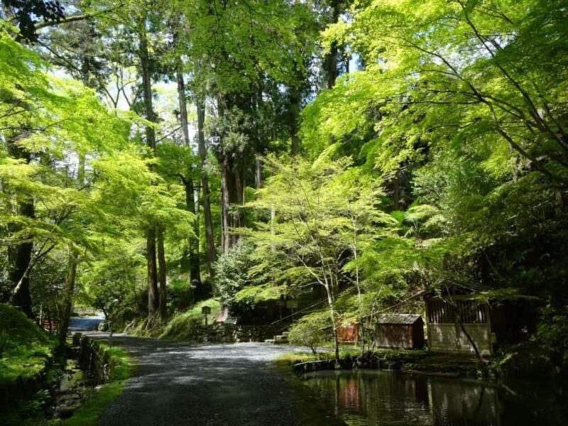 Otsu: Ishiyama-dera: Sacred Stone Temple by Lake Biwa - Who Will Love This Tour?