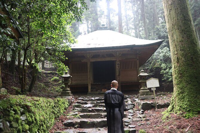 Otsu: Miidera Temple with the Spirit of Mount Hiei - Authentic Insights from Past Participants