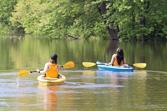 Ottawa Ecological Reserve Kayak Tour with TURTLE Sightings - Good To Know