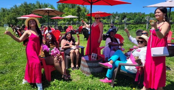 Ottawa: Local Wine and Cider Tour - Customer Feedback