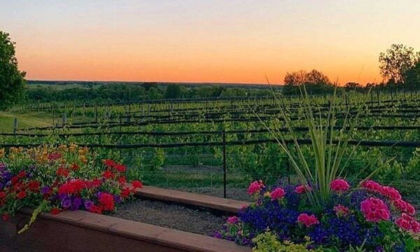 Ottawa: Local Wine and Cider Tour - Free Cancellation and Reservation