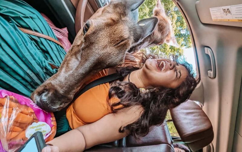 Ottawa: Private Wildlife Adventure Safari in Parc Omega - A Close Look at the Tour Itself