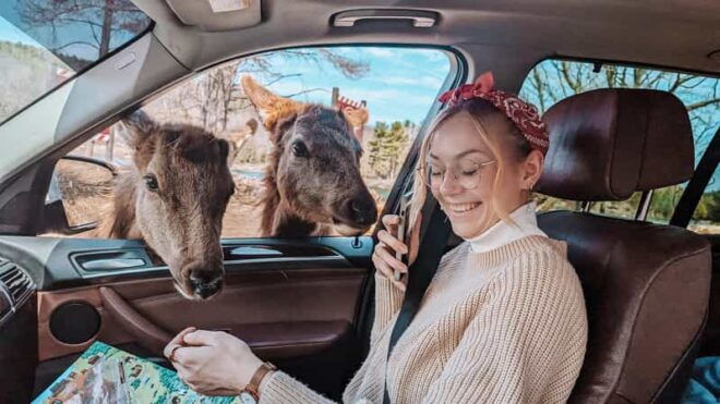 Ottawa: Private Wildlife Adventure Tour at Parc Omega - Activity Highlights