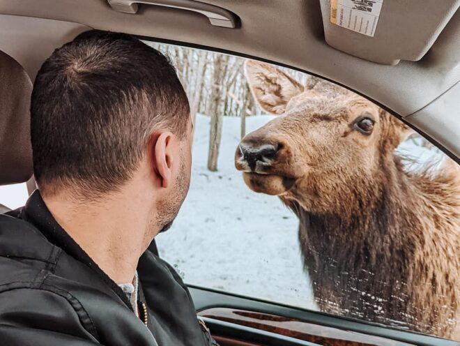 Ottawa: Private Wildlife Adventure Tour at Parc Omega - Transportation and Itinerary