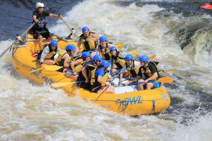 Ottawa River: White Water Rafting With BBQ Lunch - Experience Highlights