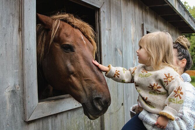 Ottawa Valleyview Little Animal Farm Tour - Practical Tips for Visiting