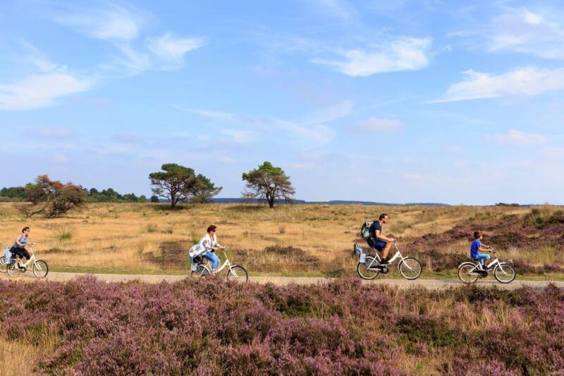Otterlo: De Hoge Veluwe National Park Entry Ticket - FAQs About De Hoge Veluwe National Park Entry Ticket