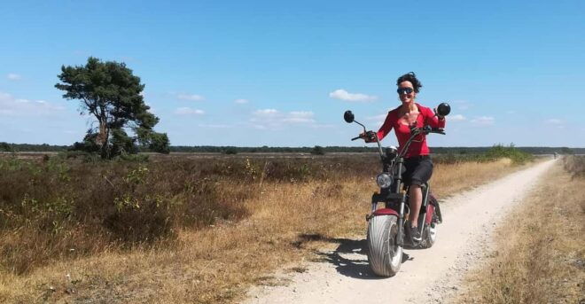 Otterlo: E-Chopper Rental - Rental Inclusions
