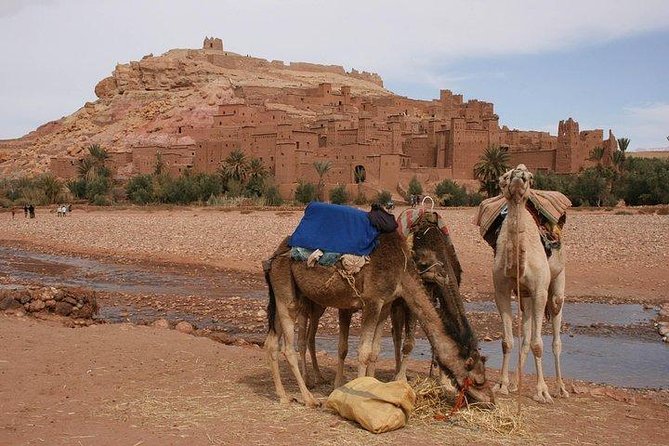 Ouarzazate & Ait Ben Haddou Private Day Trip From Marrakech - The Sum Up