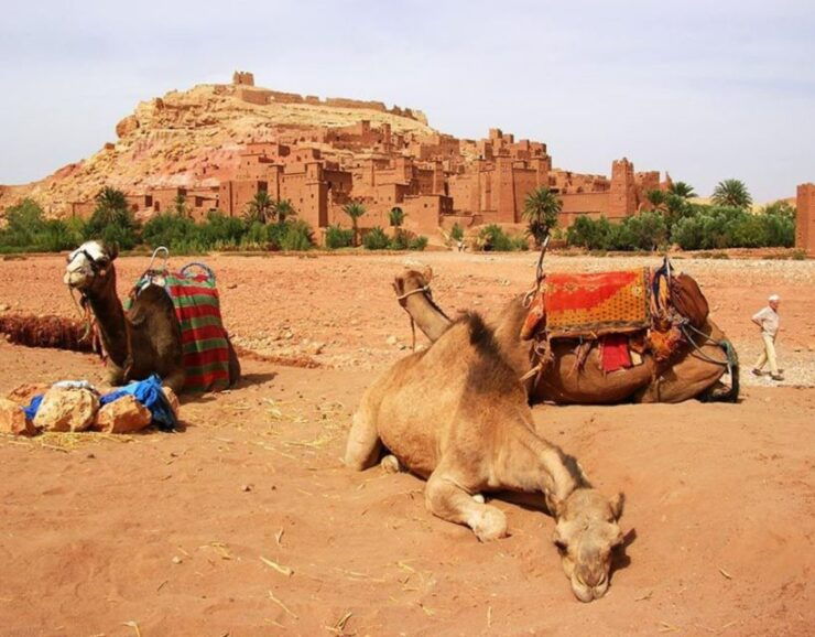 Ouarzazate Day Trip - Trip Details and Booking