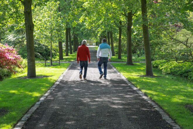 Oudenbosch: Guided City Walk - Guided Tour of Historical Sites