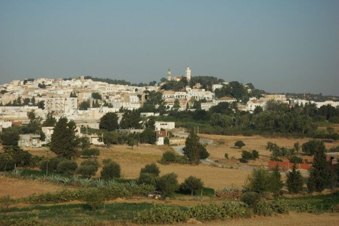 Oudhna & Zaghouan Day Tour With Lunch - Other Details