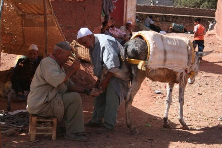 Ouirgan Berber Villages & Salt Mine Day Trip From Marrakech - Hiking Experience