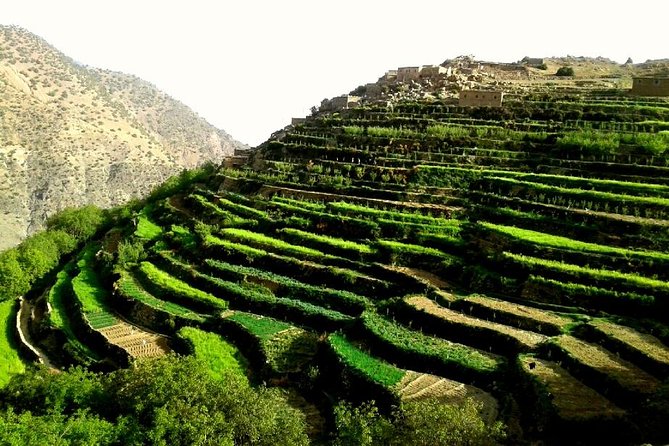 Ouirgane Trekking & Hiking From Ouirgane to Imlil – 4 Days - Package Details