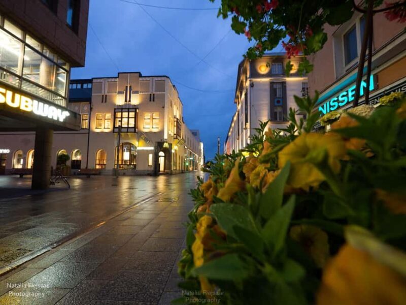 Oulu City Tour: Discover the heart of Oulu in just 1 hour! - Authentic Perspectives from Reviewers