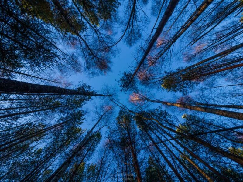 Oulu: Guided Fatbike Tour From Nallikari Around Hietasaari - Good To Know