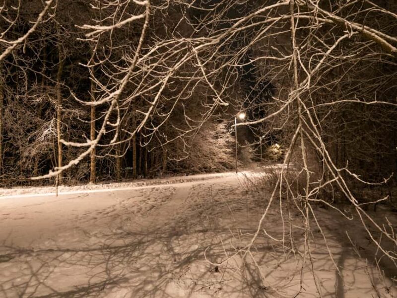 Oulu: Guided Night Walking Tour with Northern Lights Hunting - Is This Tour Worth It?